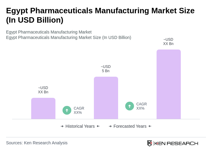 Egypt Pharmaceuticals Manufacturing Market Size